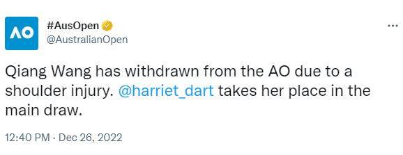 开云-王蔷：我还没想退役呢，也不是什么恋爱脑